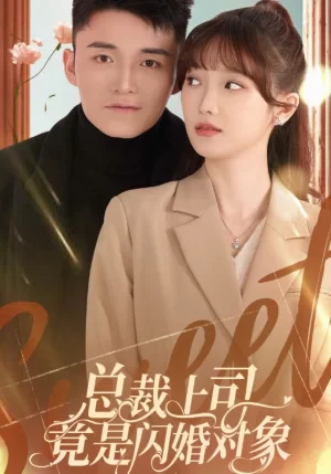 总裁上司竟是闪婚对象海报