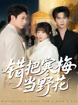 错把寒梅当野花海报