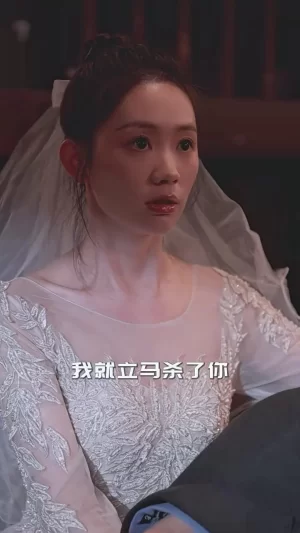 萧雨只念晴海报