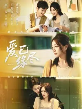 爱已缘尽海报