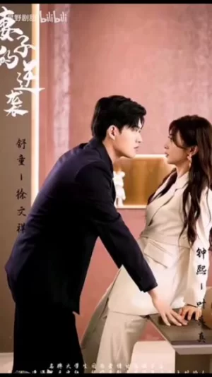 妻子的逆袭海报