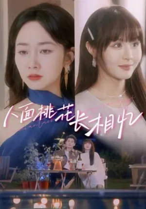 人面桃花长相忆海报
