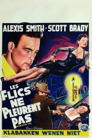 模范女警探海报