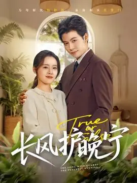 长风护晚宁海报