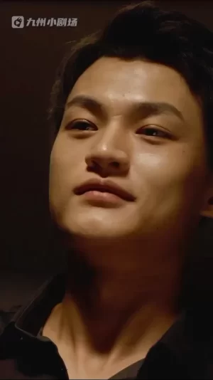 极品医婿出山海报