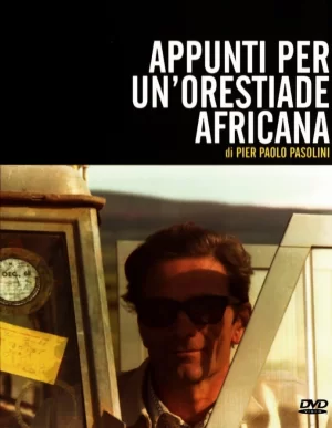 非洲俄瑞斯忒斯的札记海报