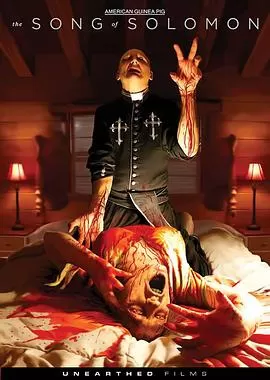 美国豚鼠3:所罗门之歌海报