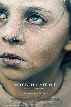 我眼中的阴影Skyggenimit&oslash;je海报