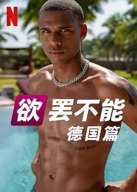 欲罢不能德国版第二季海报