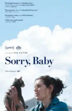 对不起,宝贝海报