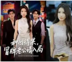 种因得果冒牌老公请入局海报