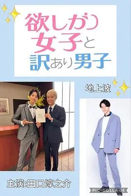 贪心女与隐情男海报