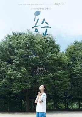 容顺용순海报