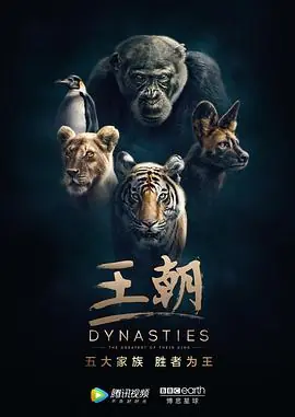 王朝海报