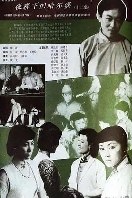 夜幕下的哈尔滨海报