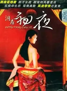 初夜洞房档案海报