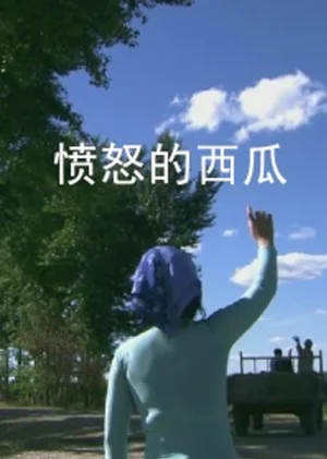 愤怒的西瓜海报