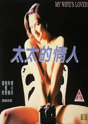 太太的情人海报