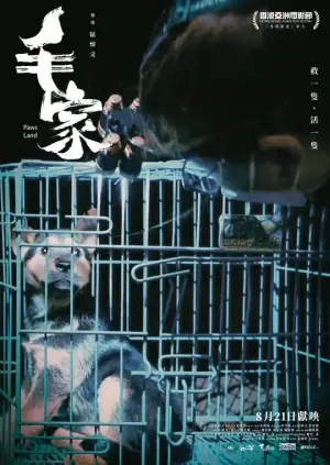 毛家海报