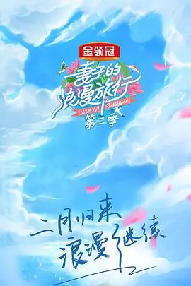 妻子的浪漫旅行第二季(会员Plus版)海报