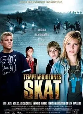 圣殿骑士的宝藏TempelriddernesSkat海报