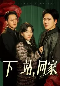 下一站,回家海报