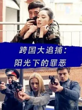 跨国大追捕:阳光下的罪恶海报