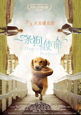 一条狗的使命2海报