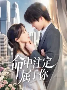 命中注定属于你海报