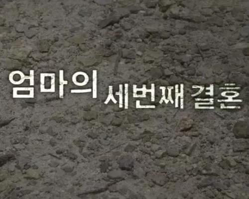 妈妈的第三次结婚海报