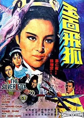 玉面飞狐[电影解说]海报