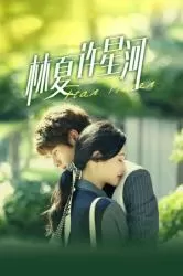 林夏许星河海报