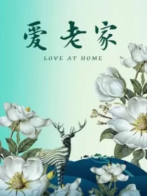 爱·老家海报