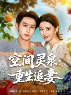 空间灵泉重生追妻海报