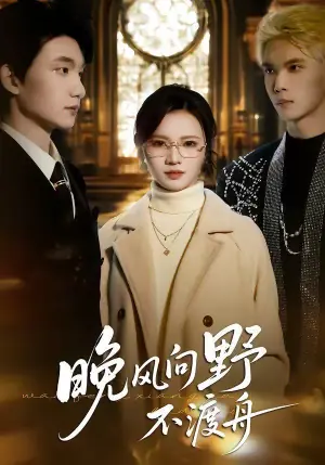 晚风向野不渡舟海报