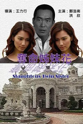 夺命姐妹花奪命姊妹花海报