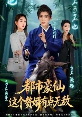 都市豪仙,这个赘婿有点无敌海报