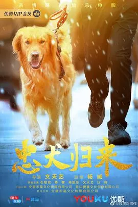 忠犬归来海报