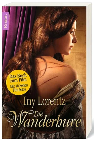 流浪的神女海报