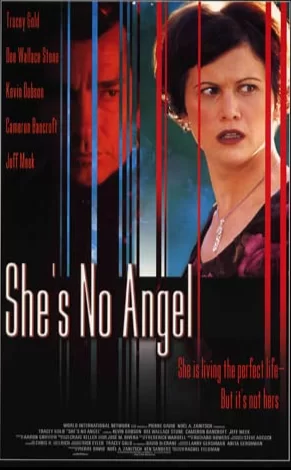 变奏的天使海报