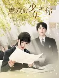 喜欢的少年是你海报
