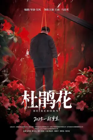杜鹃花海报