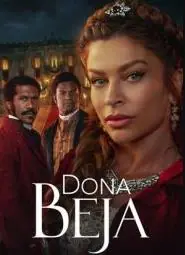 贝雅夫人第一季海报