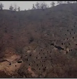 狩猎场&middot;寄死窑海报