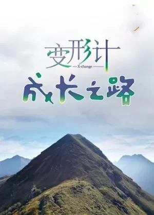 变形计成长之路海报