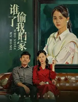 谁偷了我的家海报