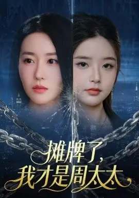 摊牌了,我才是周太太海报