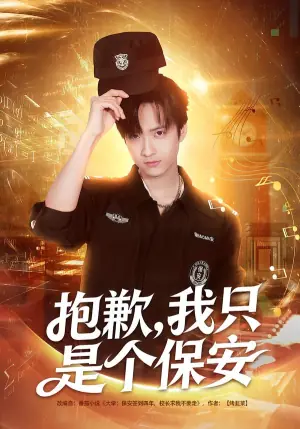 抱歉,我只是个保安海报