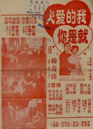 我的爱人就是你海报