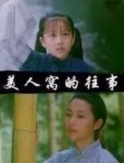 美人窝的往事海报